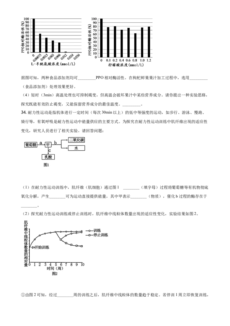 精品解析：北京市朝阳区高一上学期期末质量检测生物试题（原卷版）_高中九科知识点归纳。_人教版高中Word电子版试卷练习试题知识点全科_高中生物试卷习题_生物必修_必修1_2.各地真题
