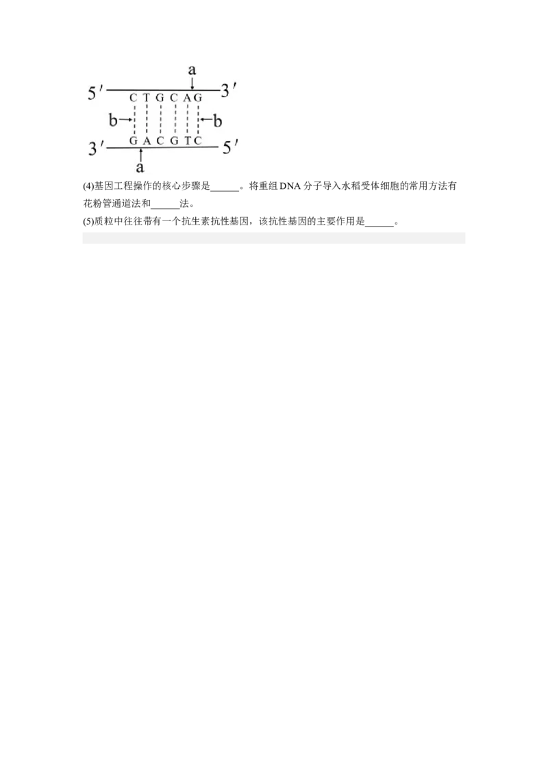 第3章基因工程（基础突破卷）-2022-2023学年高二生物基础与培优高效突破测试卷（人教版2019选择性必修3）（原卷版）_高中九科知识点归纳。_人教版高中Word电子版试卷练习试题知识点全科