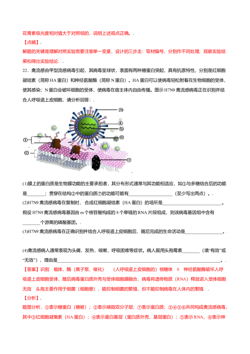 第三章章末测试-高一生物课后培优练（人教版2019必修1）（解析版）_高中九科知识点归纳。_人教版高中Word电子版试卷练习试题知识点全科_高中生物试卷习题_生物必修_必修1