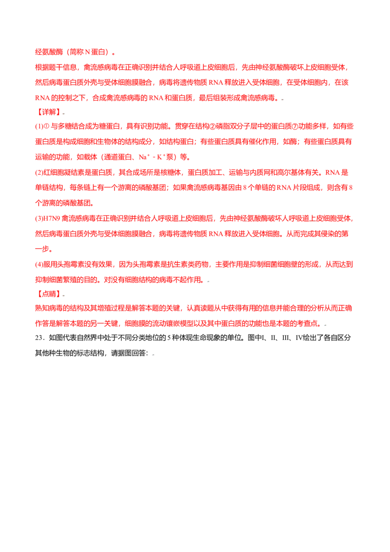 第三章章末测试-高一生物课后培优练（人教版2019必修1）（解析版）_高中九科知识点归纳。_人教版高中Word电子版试卷练习试题知识点全科_高中生物试卷习题_生物必修_必修1