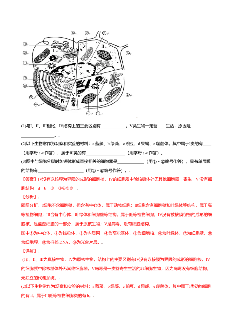 第三章章末测试-高一生物课后培优练（人教版2019必修1）（解析版）_高中九科知识点归纳。_人教版高中Word电子版试卷练习试题知识点全科_高中生物试卷习题_生物必修_必修1