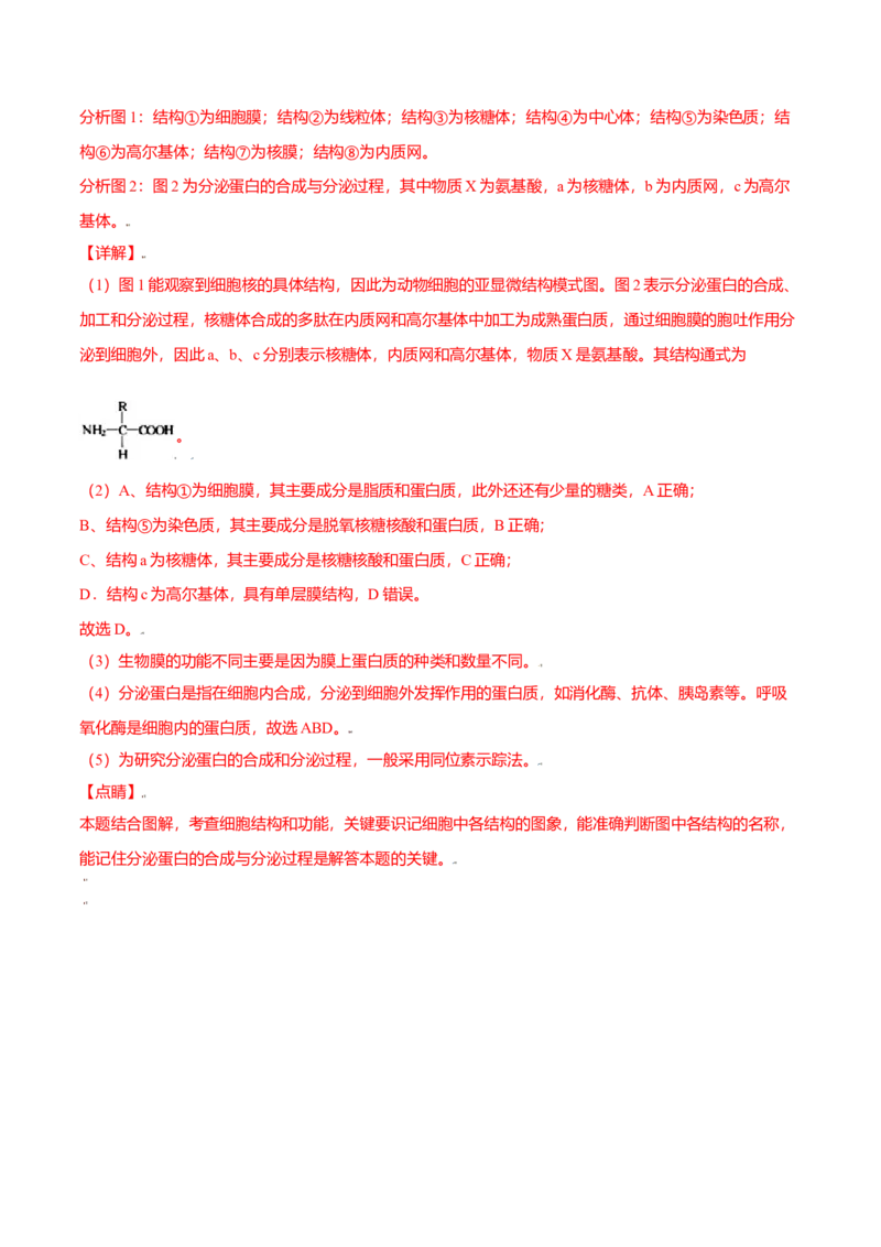 第三章章末测试-高一生物课后培优练（人教版2019必修1）（解析版）_高中九科知识点归纳。_人教版高中Word电子版试卷练习试题知识点全科_高中生物试卷习题_生物必修_必修1