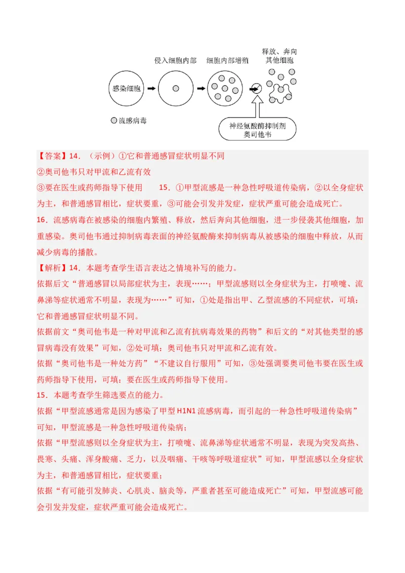 第11节图文转换-口袋书2024年高考语文一轮复习知识清单（全国通用）（解析版）_01高考语文_通用版（老高考）复习资料_2024年复习资料_第1章语言文字运用