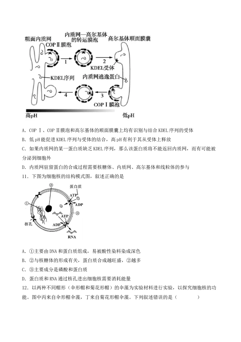 综合拉练卷03（原卷版）_高中九科知识点归纳。_人教版高中Word电子版试卷练习试题知识点全科_高中生物试卷习题_生物必修_必修1_人教版生物必修一期末试卷（038份）_1.模拟题