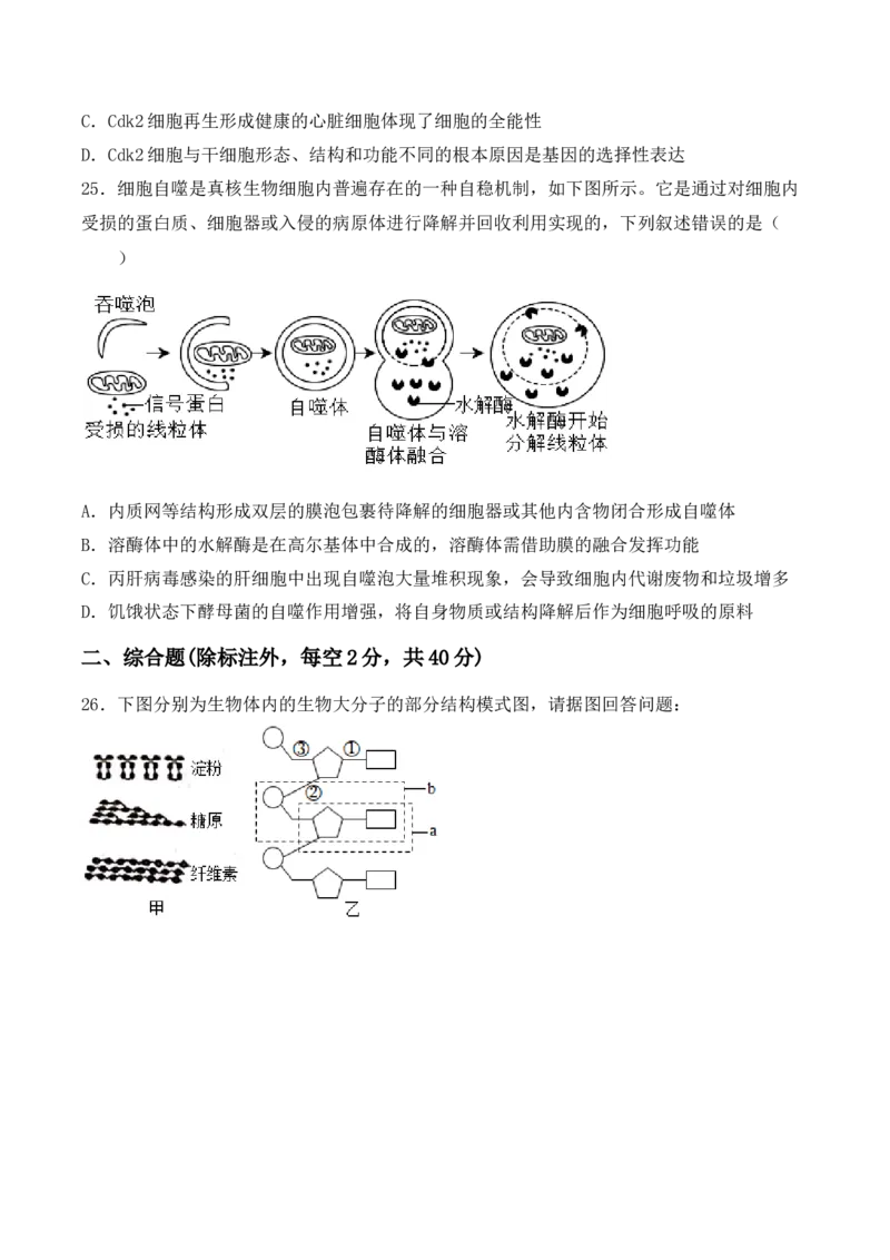 综合拉练卷03（原卷版）_高中九科知识点归纳。_人教版高中Word电子版试卷练习试题知识点全科_高中生物试卷习题_生物必修_必修1_人教版生物必修一期末试卷（038份）_1.模拟题