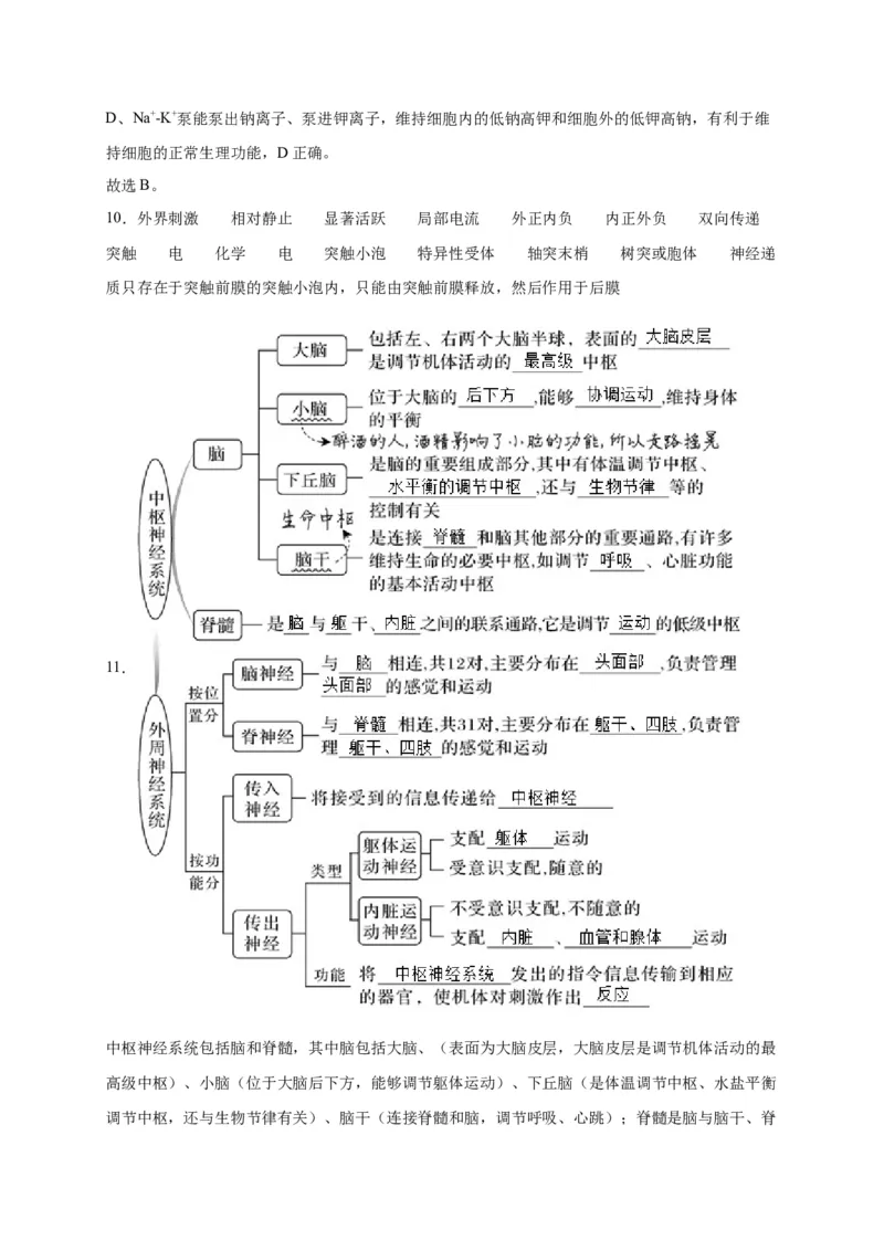 第2章神经调节单元测试卷人教版（2019）高中生物选择性必修1_高中九科知识点归纳。_人教版高中Word电子版试卷练习试题知识点全科_高中生物试卷习题_生物选修_选修1_第二章