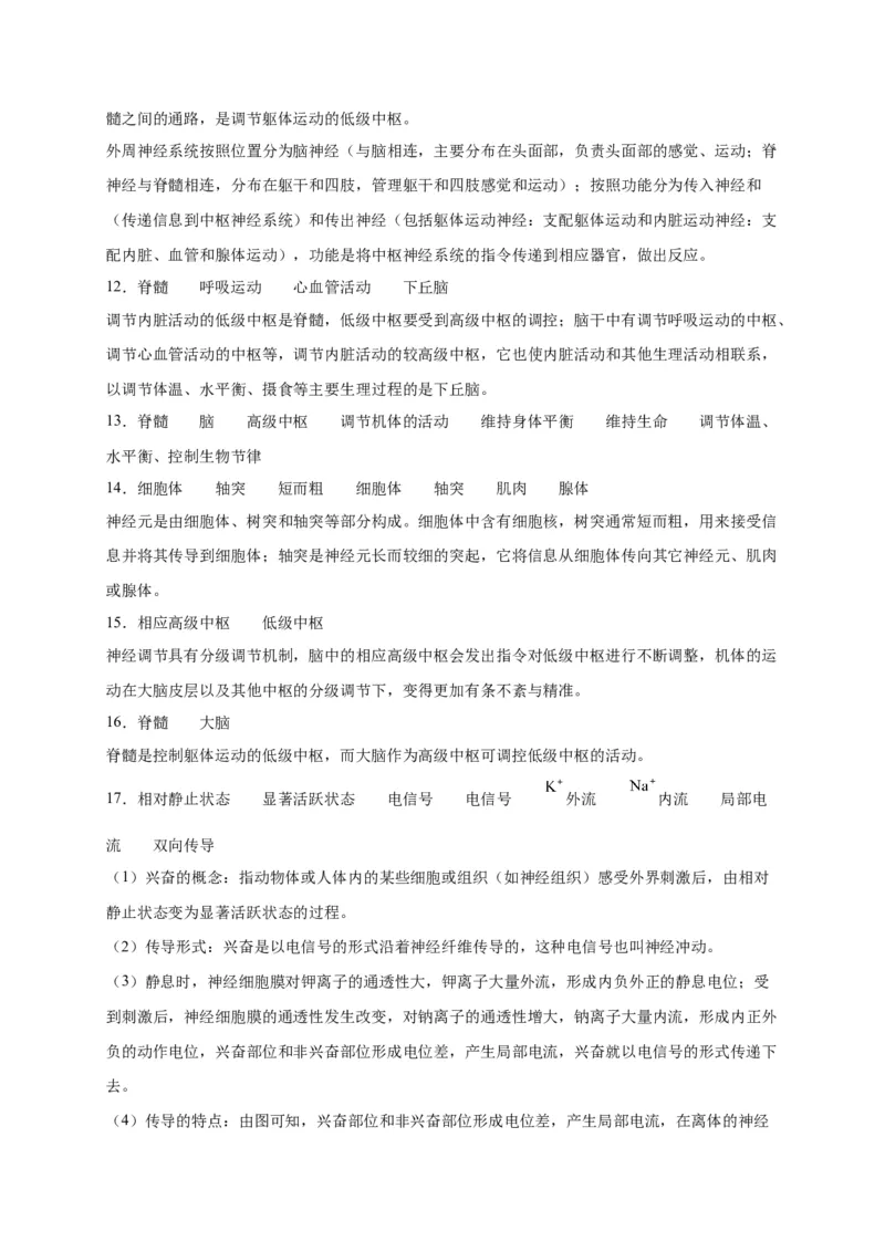 第2章神经调节单元测试卷人教版（2019）高中生物选择性必修1_高中九科知识点归纳。_人教版高中Word电子版试卷练习试题知识点全科_高中生物试卷习题_生物选修_选修1_第二章