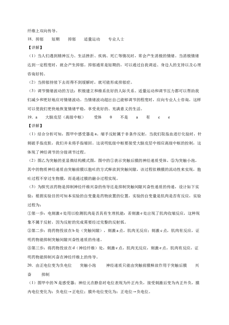 第2章神经调节单元测试卷人教版（2019）高中生物选择性必修1_高中九科知识点归纳。_人教版高中Word电子版试卷练习试题知识点全科_高中生物试卷习题_生物选修_选修1_第二章