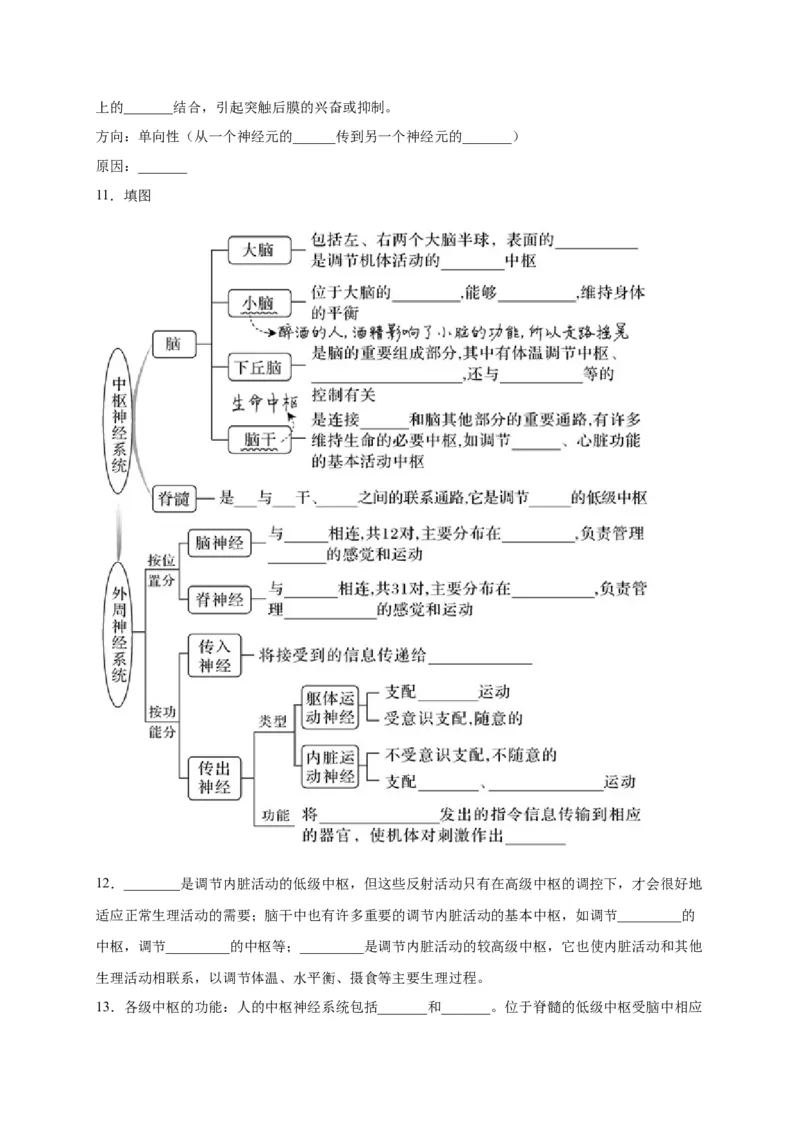 第2章神经调节单元测试卷人教版（2019）高中生物选择性必修1_高中九科知识点归纳。_人教版高中Word电子版试卷练习试题知识点全科_高中生物试卷习题_生物选修_选修1_第二章
