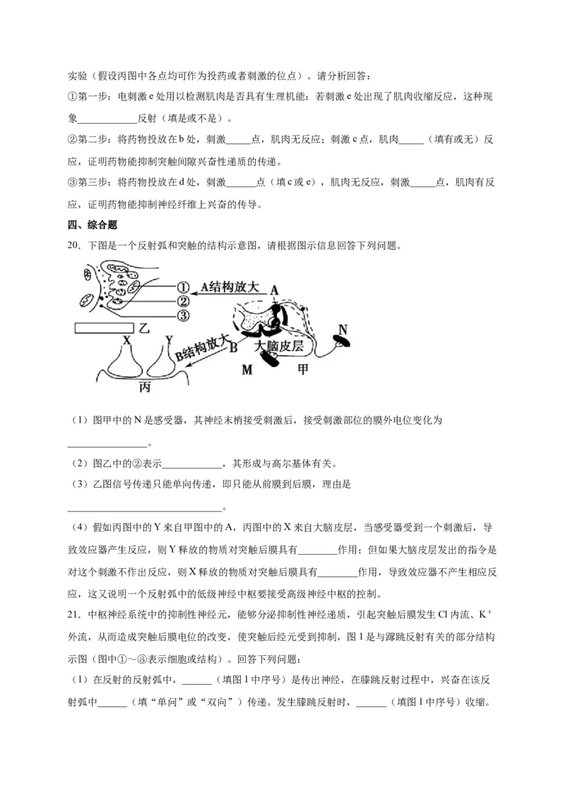 第2章神经调节单元测试卷人教版（2019）高中生物选择性必修1_高中九科知识点归纳。_人教版高中Word电子版试卷练习试题知识点全科_高中生物试卷习题_生物选修_选修1_第二章