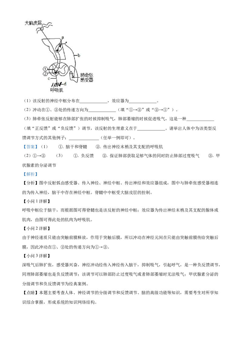 高二上学期期中生物试题（解析版）_高中九科知识点归纳。_人教版高中Word电子版试卷练习试题知识点全科_高中生物试卷习题_生物选修_选修1_人教版生物选修一期中测试（012份）_772