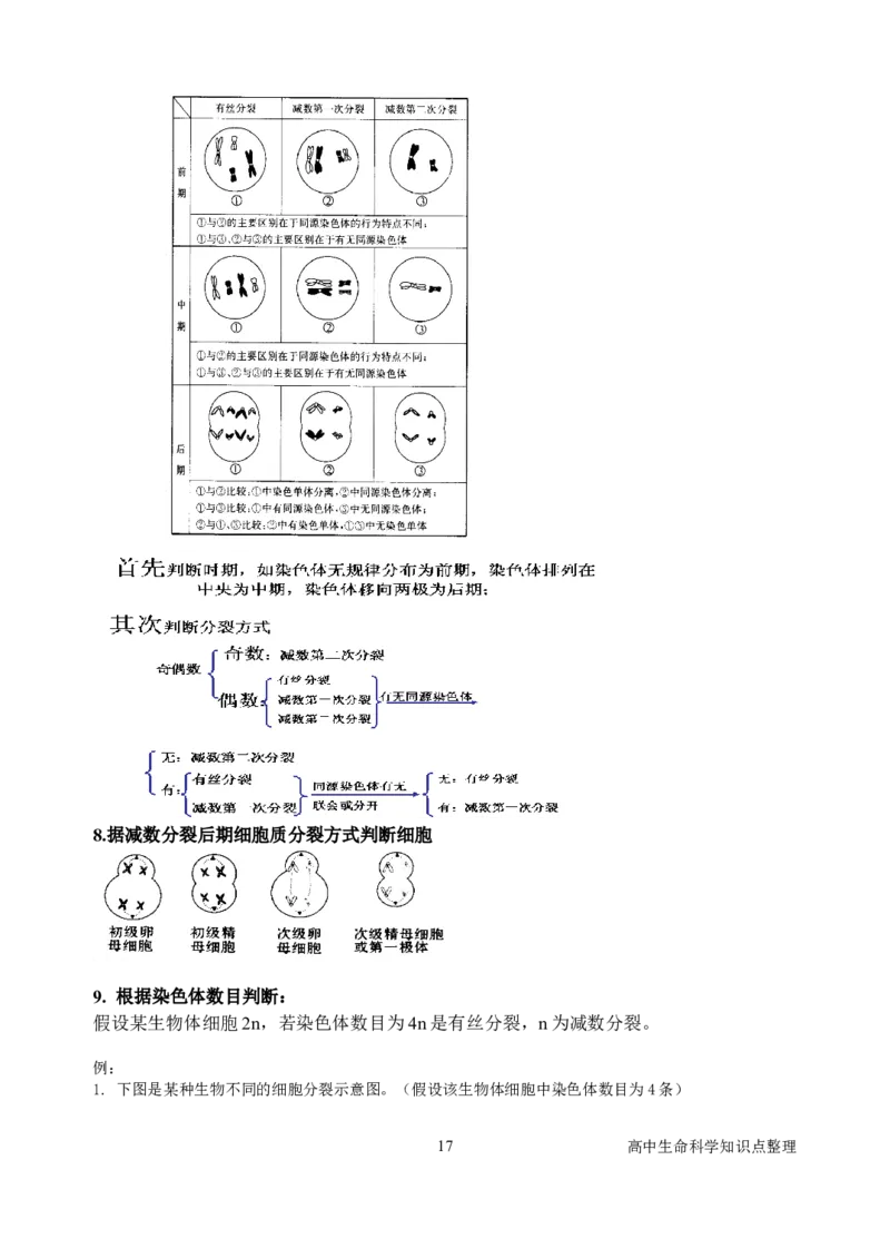 生物_高中生命科学资料_侧重记忆_28页_高中九科知识点归纳。_生物