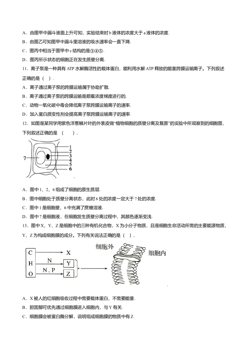 第四章章末测试-高一生物课后培优练（人教版2019必修1）（原卷版）_高中九科知识点归纳。_人教版高中Word电子版试卷练习试题知识点全科_高中生物试卷习题_生物必修_必修1
