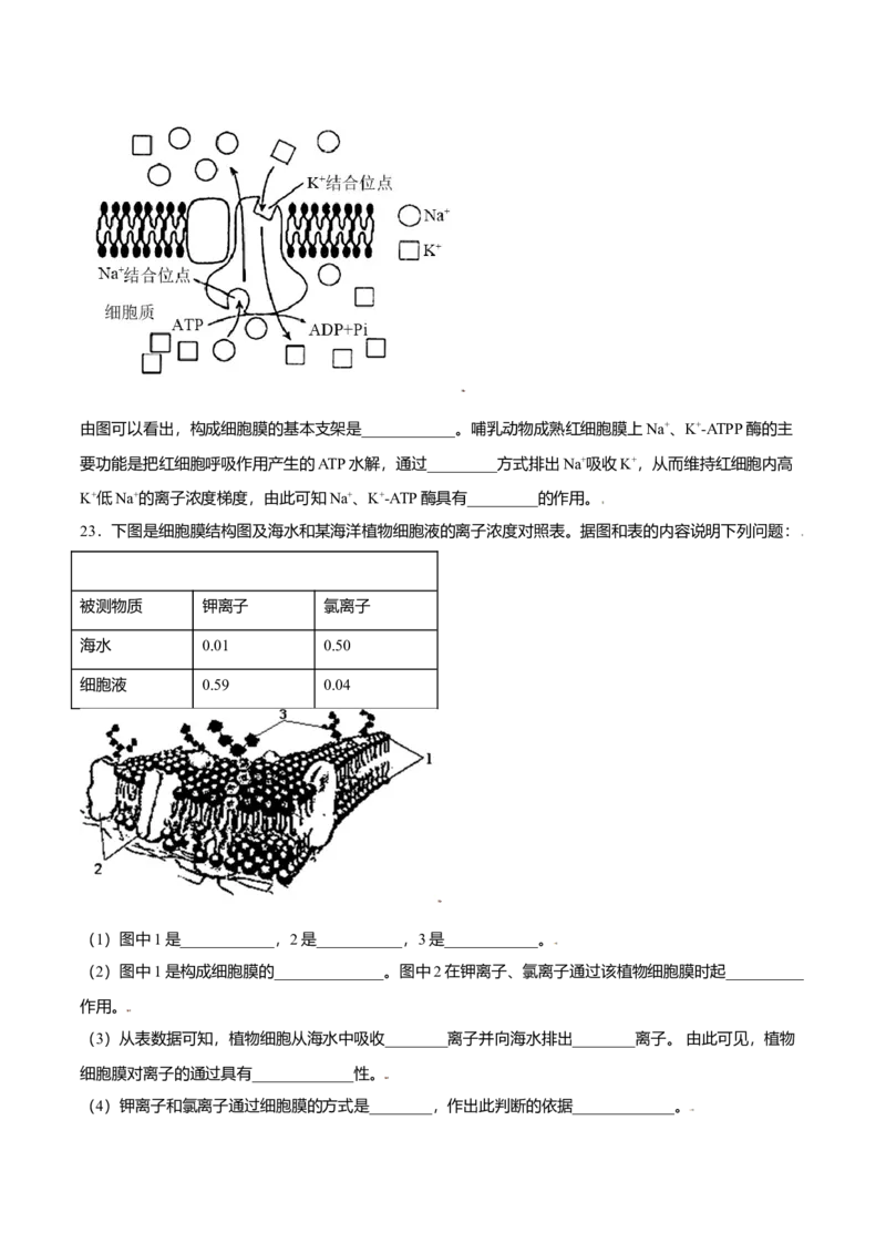 第四章章末测试-高一生物课后培优练（人教版2019必修1）（原卷版）_高中九科知识点归纳。_人教版高中Word电子版试卷练习试题知识点全科_高中生物试卷习题_生物必修_必修1