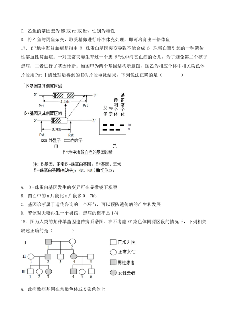 期末检测卷01（基础练）(原卷版）_高中九科知识点归纳。_人教版高中Word电子版试卷练习试题知识点全科_高中生物试卷习题_生物必修_必修2_人教版生物必修二期末试卷（016份）