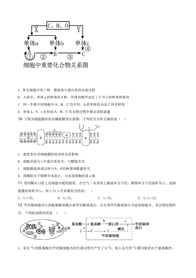 精品解析：云南省昆明市衡水实验中学西山学校高一上学期期末生物试题（原卷版）_高中九科知识点归纳。_人教版高中Word电子版试卷练习试题知识点全科_高中生物试卷习题_生物必修