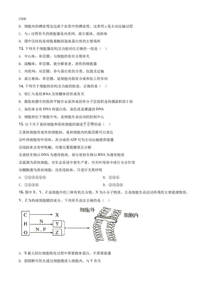 精品解析：云南省昆明市衡水实验中学西山学校高一上学期期末生物试题（原卷版）_高中九科知识点归纳。_人教版高中Word电子版试卷练习试题知识点全科_高中生物试卷习题_生物必修