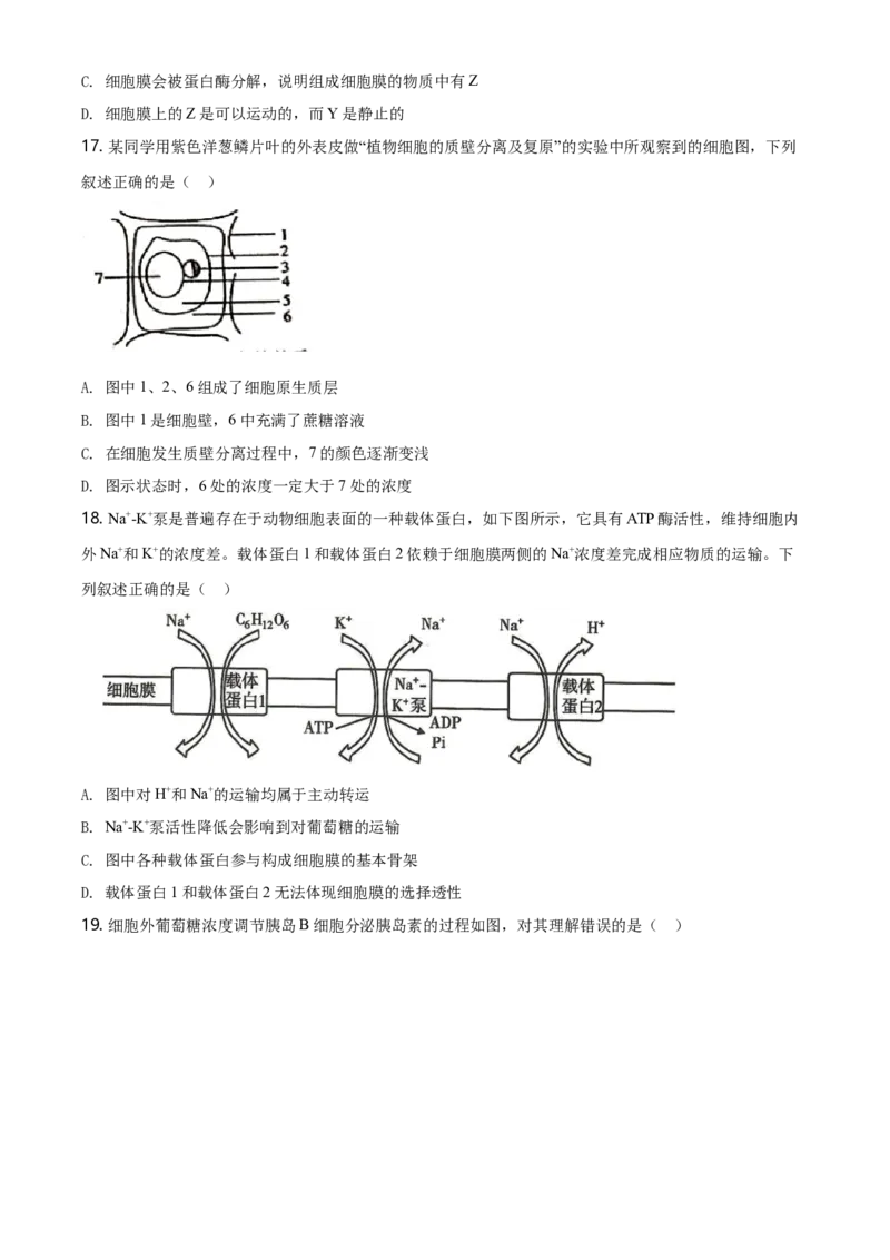 精品解析：云南省昆明市衡水实验中学西山学校高一上学期期末生物试题（原卷版）_高中九科知识点归纳。_人教版高中Word电子版试卷练习试题知识点全科_高中生物试卷习题_生物必修