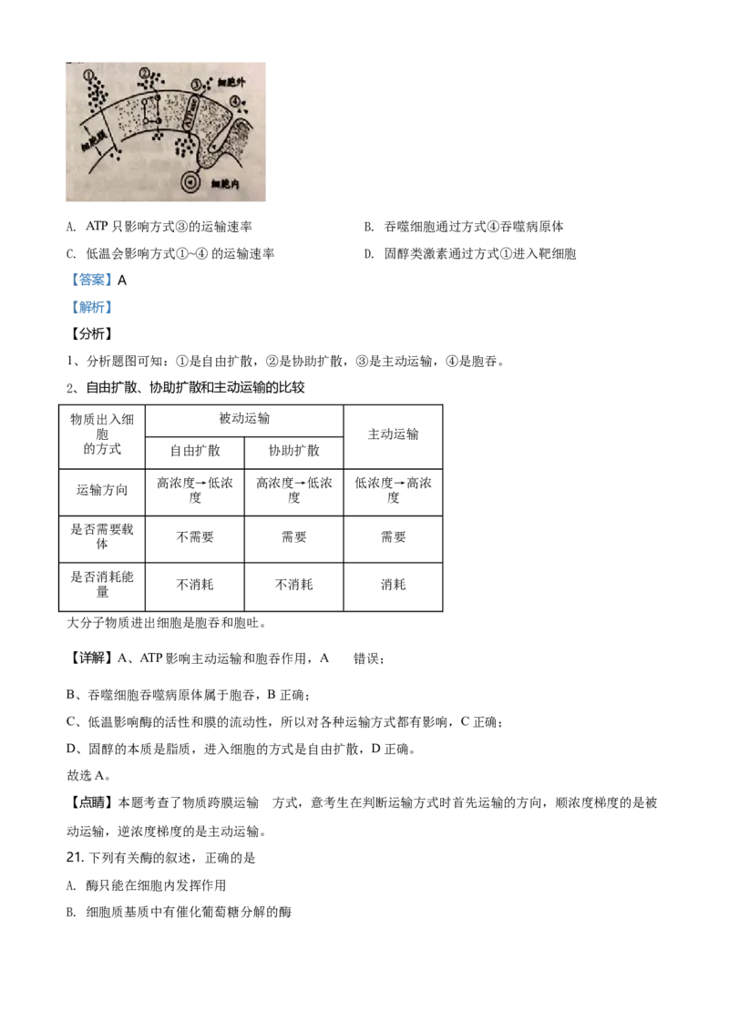 精品解析：天津市滨海新区高一上学期期末生物试题（解析版）_高中九科知识点归纳。_人教版高中Word电子版试卷练习试题知识点全科_高中生物试卷习题_生物必修_必修1_2.各地真题