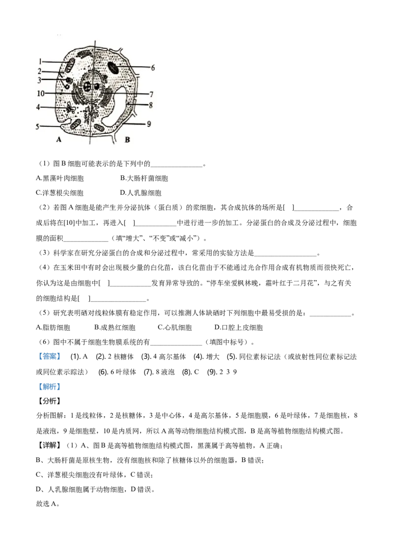 精品解析：天津市滨海新区高一上学期期末生物试题（解析版）_高中九科知识点归纳。_人教版高中Word电子版试卷练习试题知识点全科_高中生物试卷习题_生物必修_必修1_2.各地真题