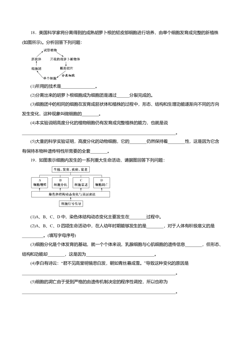 第6章细胞的生命历程A卷（原卷版）_高中九科知识点归纳。_人教版高中Word电子版试卷练习试题知识点全科_高中生物试卷习题_生物必修_必修1_人教版生物必修一单元测试（032份）
