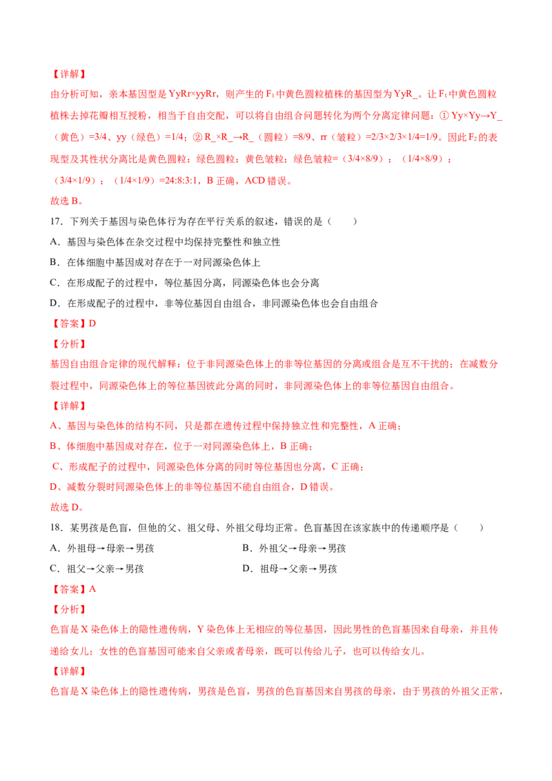 期末押题01-高一生物下学期期末专项复习（人教版2019必修2）（解析版）_高中九科知识点归纳。_人教版高中Word电子版试卷练习试题知识点全科_高中生物试卷习题_生物必修_必修2