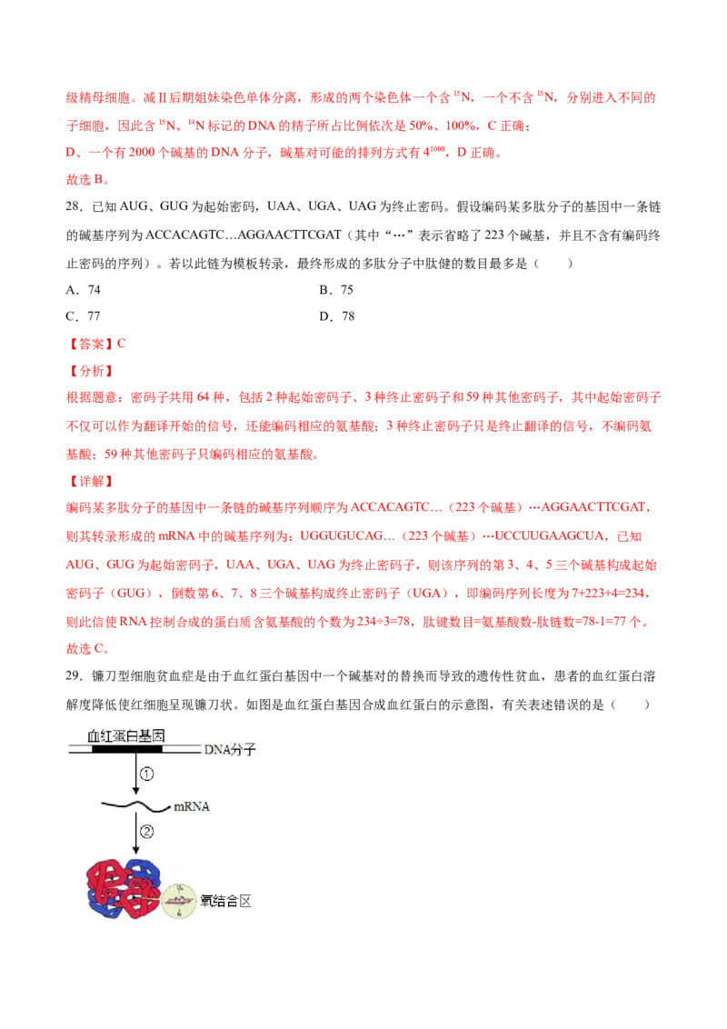 期末押题01-高一生物下学期期末专项复习（人教版2019必修2）（解析版）_高中九科知识点归纳。_人教版高中Word电子版试卷练习试题知识点全科_高中生物试卷习题_生物必修_必修2