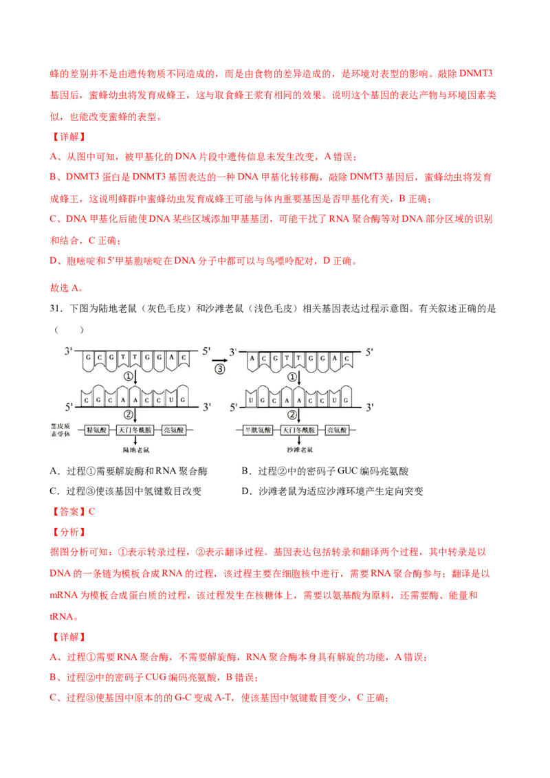 期末押题01-高一生物下学期期末专项复习（人教版2019必修2）（解析版）_高中九科知识点归纳。_人教版高中Word电子版试卷练习试题知识点全科_高中生物试卷习题_生物必修_必修2