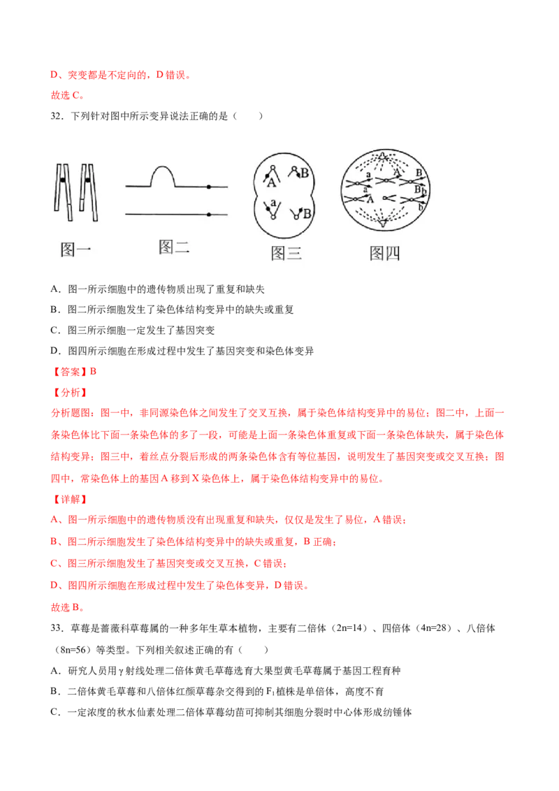 期末押题01-高一生物下学期期末专项复习（人教版2019必修2）（解析版）_高中九科知识点归纳。_人教版高中Word电子版试卷练习试题知识点全科_高中生物试卷习题_生物必修_必修2