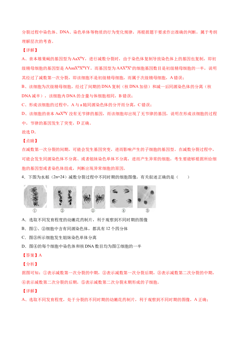 期末押题01-高一生物下学期期末专项复习（人教版2019必修2）（解析版）_高中九科知识点归纳。_人教版高中Word电子版试卷练习试题知识点全科_高中生物试卷习题_生物必修_必修2