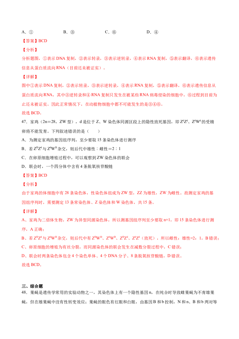 期末押题01-高一生物下学期期末专项复习（人教版2019必修2）（解析版）_高中九科知识点归纳。_人教版高中Word电子版试卷练习试题知识点全科_高中生物试卷习题_生物必修_必修2