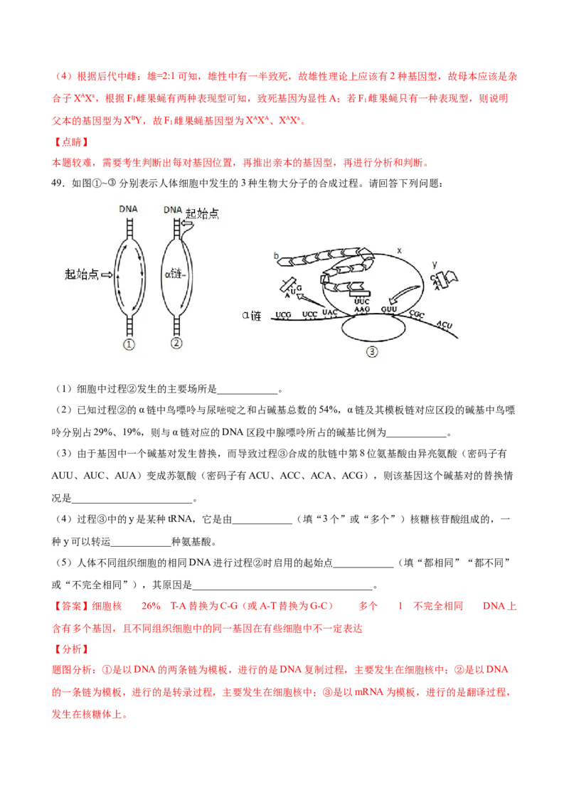 期末押题01-高一生物下学期期末专项复习（人教版2019必修2）（解析版）_高中九科知识点归纳。_人教版高中Word电子版试卷练习试题知识点全科_高中生物试卷习题_生物必修_必修2