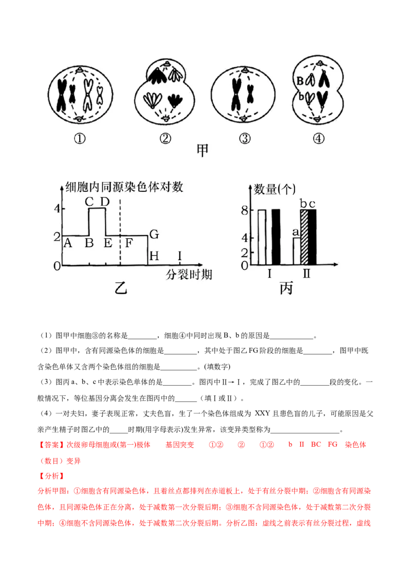 期末押题01-高一生物下学期期末专项复习（人教版2019必修2）（解析版）_高中九科知识点归纳。_人教版高中Word电子版试卷练习试题知识点全科_高中生物试卷习题_生物必修_必修2