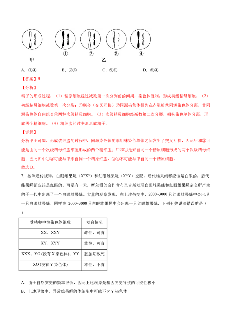 期末押题01-高一生物下学期期末专项复习（人教版2019必修2）（解析版）_高中九科知识点归纳。_人教版高中Word电子版试卷练习试题知识点全科_高中生物试卷习题_生物必修_必修2