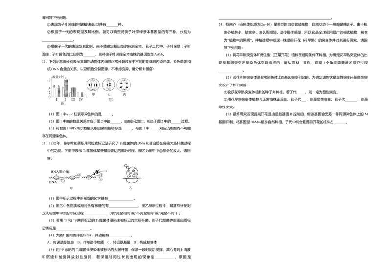 原创（新教材）下学期高一期末备考金卷生物学生版_高中九科知识点归纳。_人教版高中Word电子版试卷练习试题知识点全科_高中生物试卷习题_生物必修_必修2