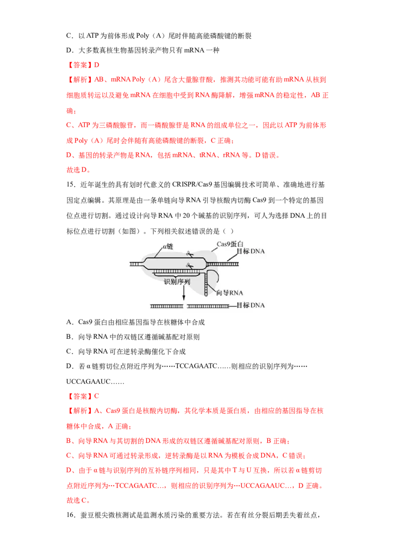 期末拔高卷2-冲刺期末高一生物下学期期末拔高冲刺卷（2019人教版）（解析版）_高中九科知识点归纳。_人教版高中Word电子版试卷练习试题知识点全科_高中生物试卷习题_生物必修