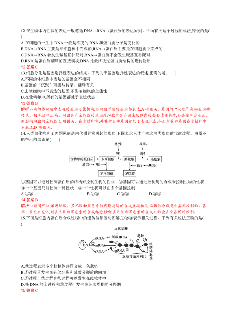 第4章基因的表达（解析版）_高中九科知识点归纳。_人教版高中Word电子版试卷练习试题知识点全科_高中生物试卷习题_生物必修_必修2_人教版生物必修二单元测试（012份）