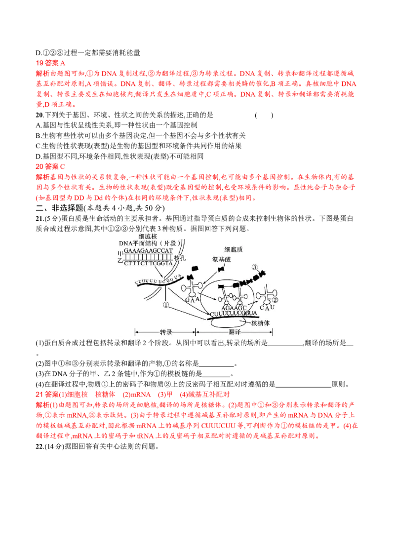 第4章基因的表达（解析版）_高中九科知识点归纳。_人教版高中Word电子版试卷练习试题知识点全科_高中生物试卷习题_生物必修_必修2_人教版生物必修二单元测试（012份）