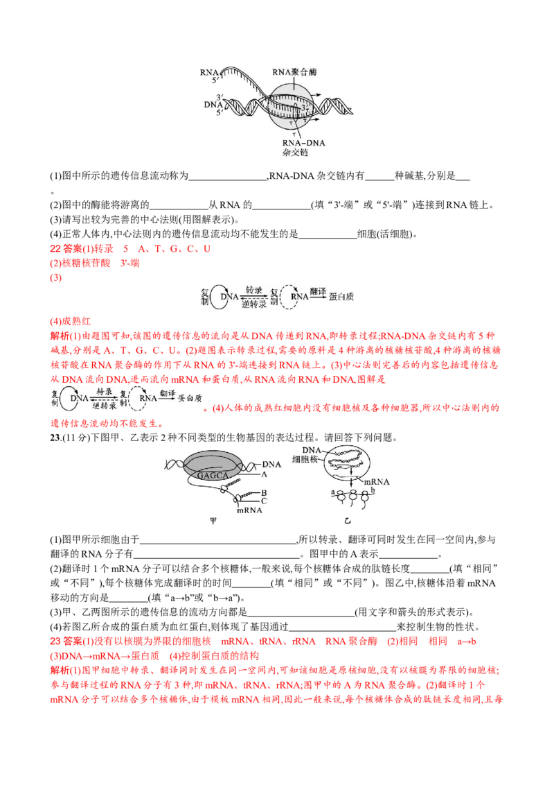 第4章基因的表达（解析版）_高中九科知识点归纳。_人教版高中Word电子版试卷练习试题知识点全科_高中生物试卷习题_生物必修_必修2_人教版生物必修二单元测试（012份）