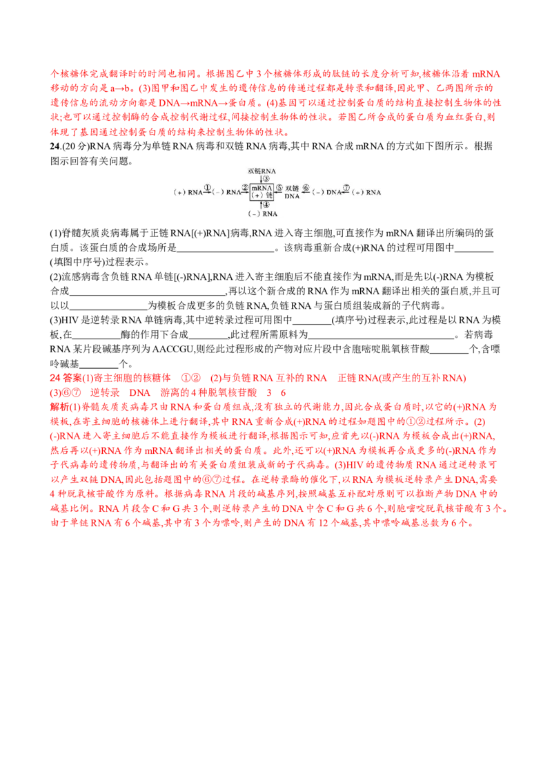 第4章基因的表达（解析版）_高中九科知识点归纳。_人教版高中Word电子版试卷练习试题知识点全科_高中生物试卷习题_生物必修_必修2_人教版生物必修二单元测试（012份）
