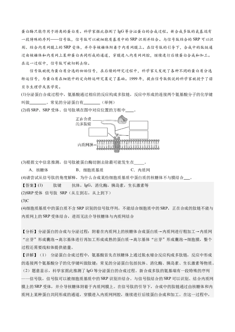 期末模拟卷02（全解全析）（人教版2019）_高中九科知识点归纳。_人教版高中Word电子版试卷练习试题知识点全科_高中生物试卷习题_生物必修_必修1_人教版生物必修一期末试卷（038份）