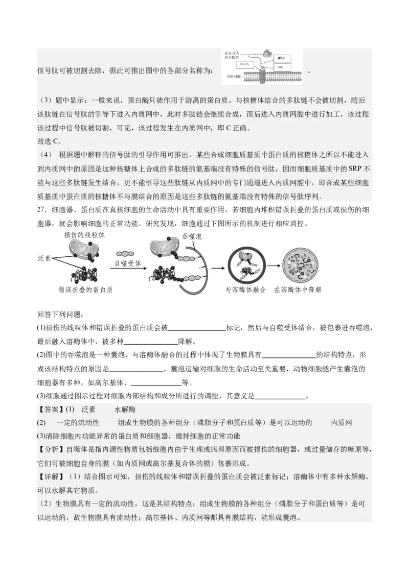 期末模拟卷02（全解全析）（人教版2019）_高中九科知识点归纳。_人教版高中Word电子版试卷练习试题知识点全科_高中生物试卷习题_生物必修_必修1_人教版生物必修一期末试卷（038份）