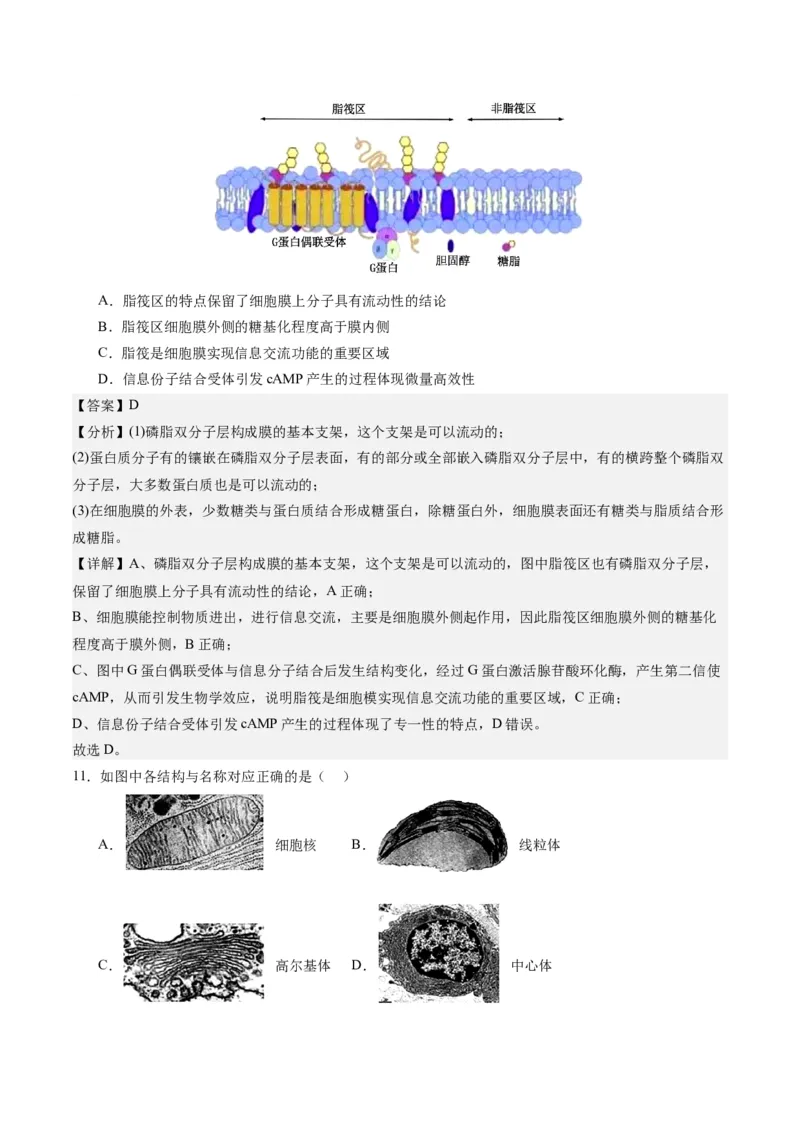 期末模拟卷02（全解全析）（人教版2019）_高中九科知识点归纳。_人教版高中Word电子版试卷练习试题知识点全科_高中生物试卷习题_生物必修_必修1_人教版生物必修一期末试卷（038份）