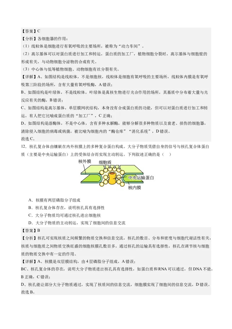 期末模拟卷02（全解全析）（人教版2019）_高中九科知识点归纳。_人教版高中Word电子版试卷练习试题知识点全科_高中生物试卷习题_生物必修_必修1_人教版生物必修一期末试卷（038份）