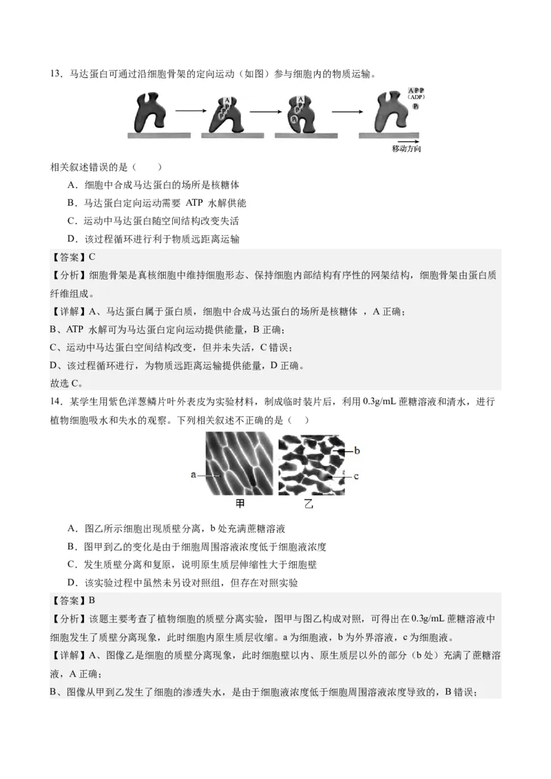 期末模拟卷02（全解全析）（人教版2019）_高中九科知识点归纳。_人教版高中Word电子版试卷练习试题知识点全科_高中生物试卷习题_生物必修_必修1_人教版生物必修一期末试卷（038份）