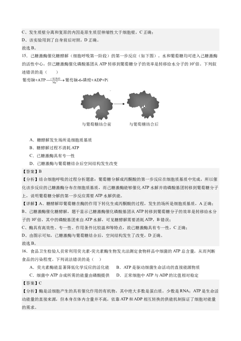 期末模拟卷02（全解全析）（人教版2019）_高中九科知识点归纳。_人教版高中Word电子版试卷练习试题知识点全科_高中生物试卷习题_生物必修_必修1_人教版生物必修一期末试卷（038份）