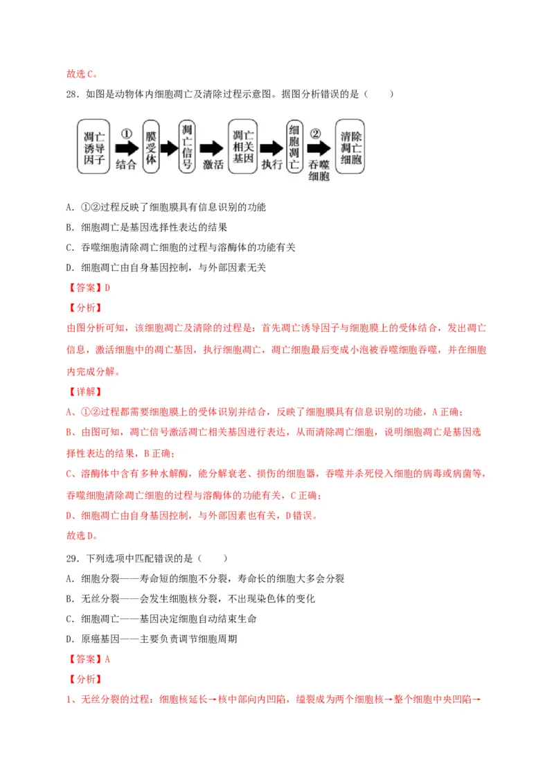 高一生物上学期期末测试卷02（人教版必修1）（解析版）_高中九科知识点归纳。_人教版高中Word电子版试卷练习试题知识点全科_高中生物试卷习题_生物必修_必修1_1.模拟题