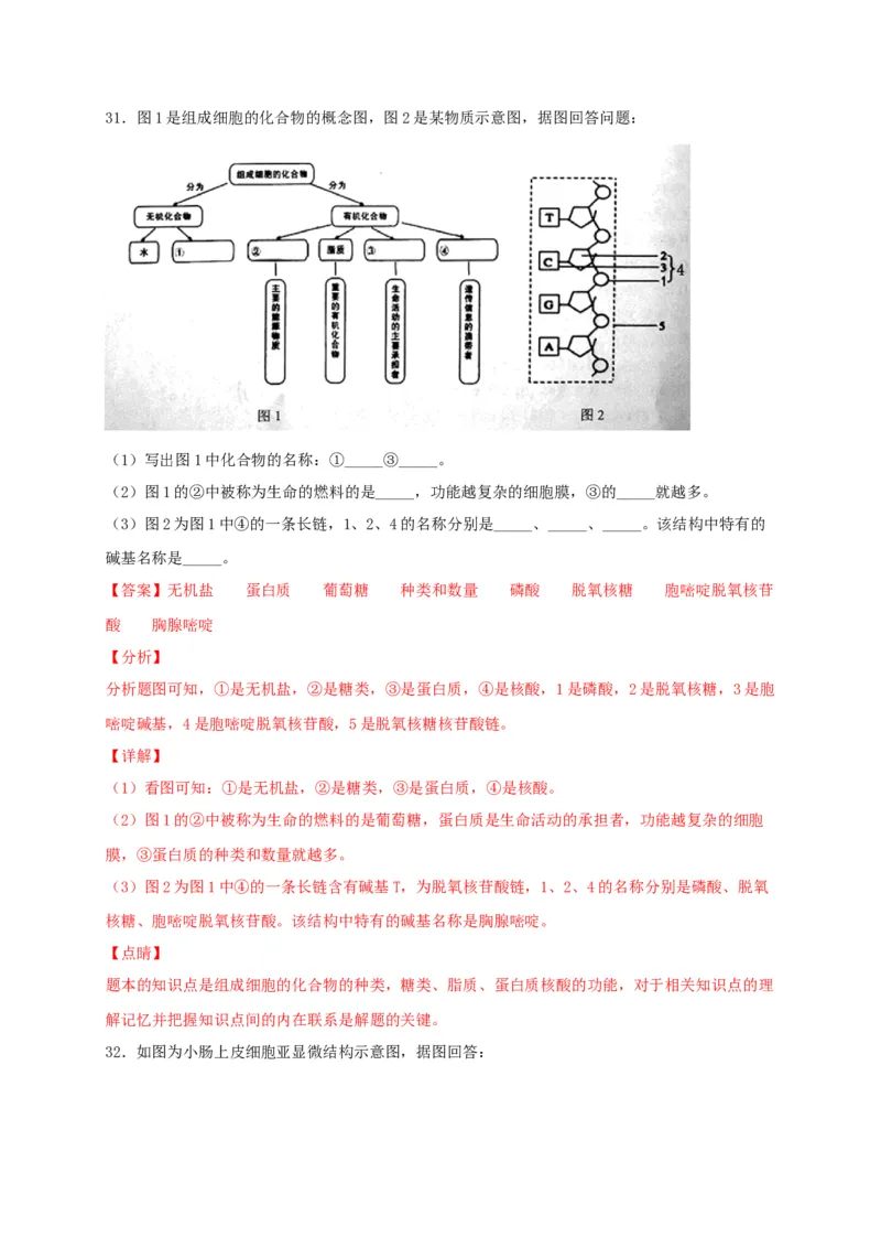高一生物上学期期末测试卷02（人教版必修1）（解析版）_高中九科知识点归纳。_人教版高中Word电子版试卷练习试题知识点全科_高中生物试卷习题_生物必修_必修1_1.模拟题