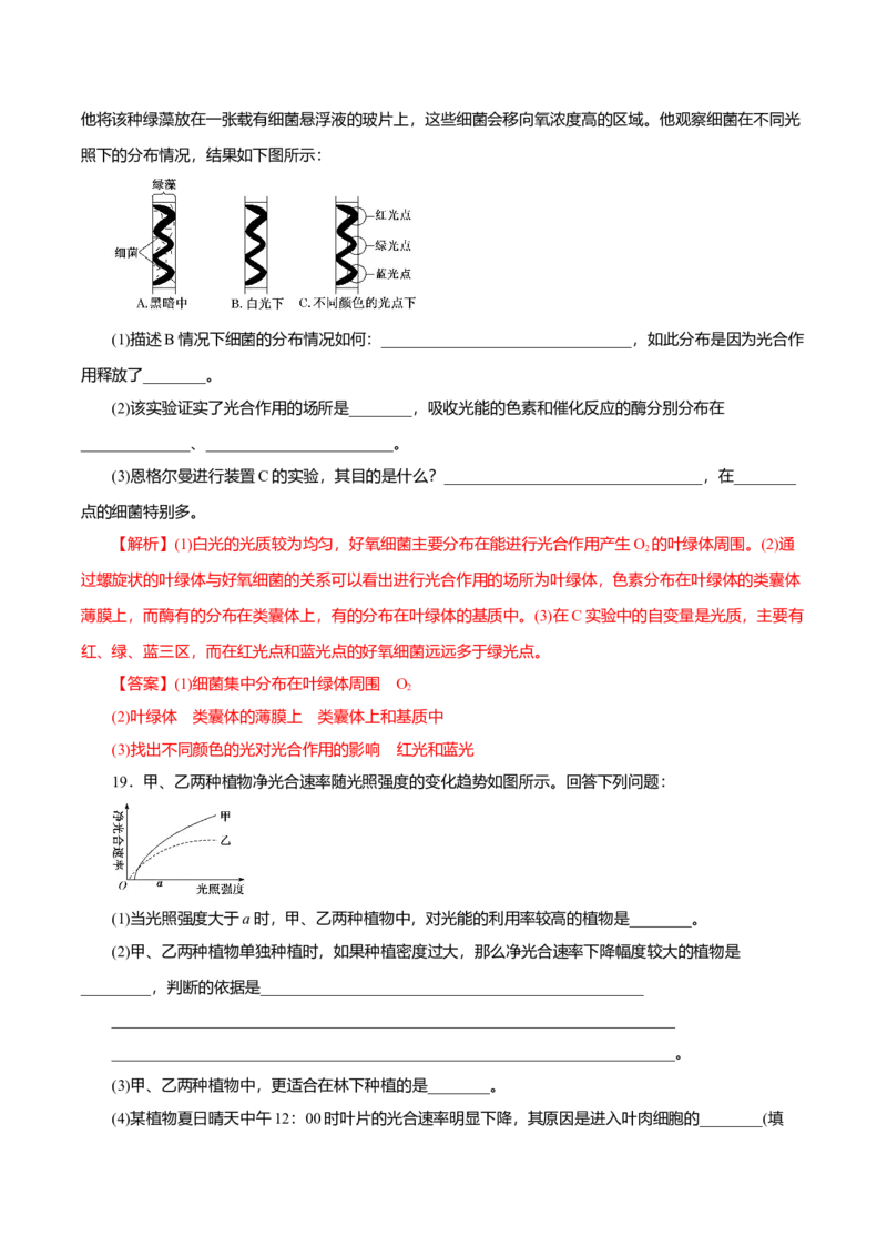 第5章细胞的能量供应和利用A卷（解析版）_高中九科知识点归纳。_人教版高中Word电子版试卷练习试题知识点全科_高中生物试卷习题_生物必修_必修1_3.单元测试（第三套）