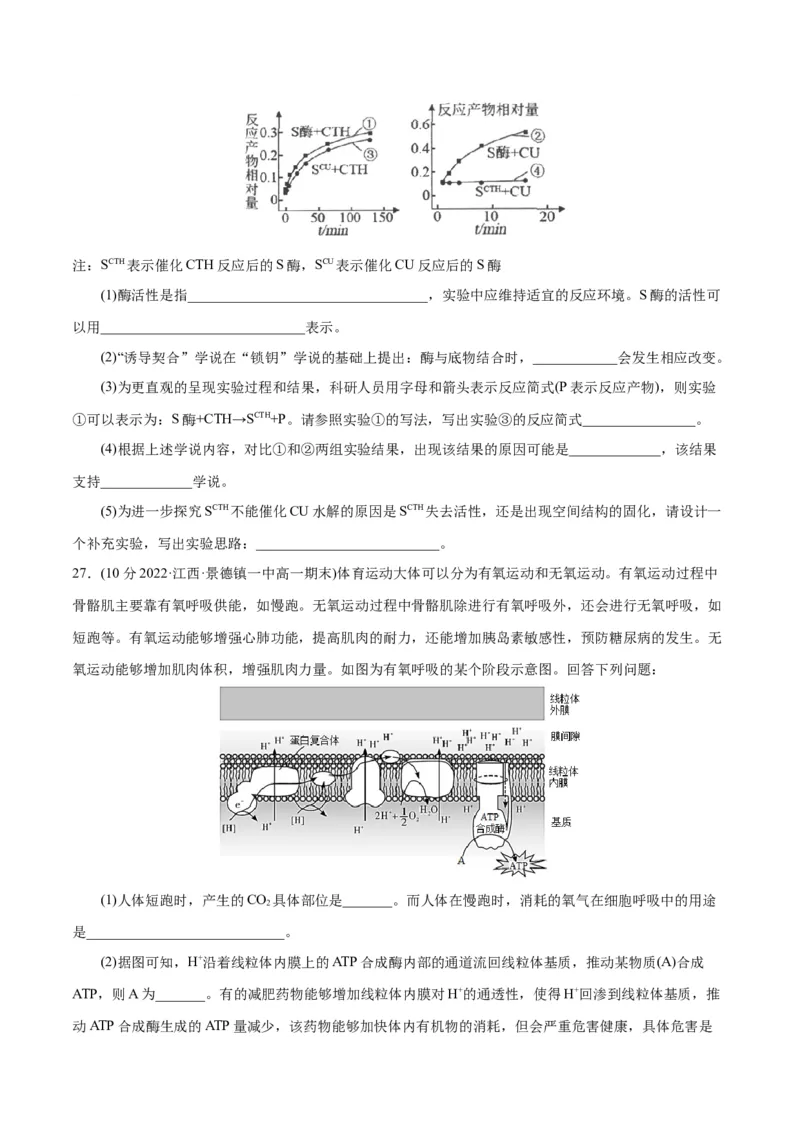 第5章细胞的能量供应和利用（B卷&middot;能力提升练）（原卷版）_高中九科知识点归纳。_人教版高中Word电子版试卷练习试题知识点全科_高中生物试卷习题_生物必修_必修1